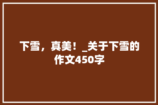 下雪，真美！_关于下雪的作文450字