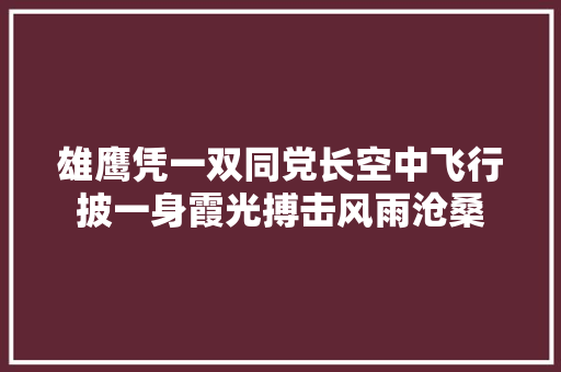 雄鹰凭一双同党长空中飞行披一身霞光搏击风雨沧桑 休闲娱乐