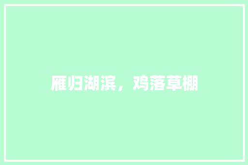 雁归湖滨，鸡落草棚