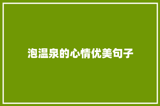 泡温泉的心情优美句子
