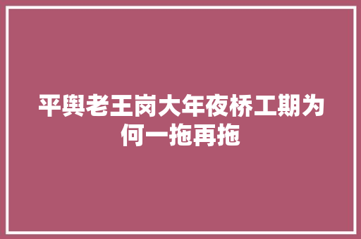 平舆老王岗大年夜桥工期为何一拖再拖 汽车知识