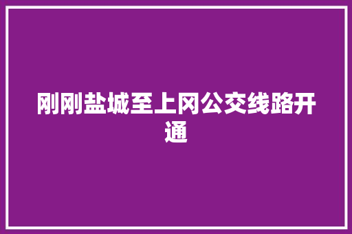 刚刚盐城至上冈公交线路开通
