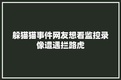 躲猫猫事件网友想看监控录像遭遇拦路虎