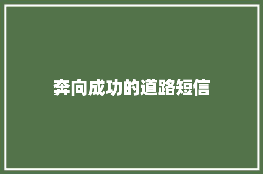 奔向成功的道路短信