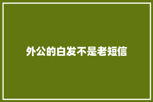 外公的白发不是老短信