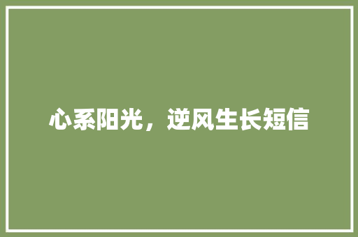心系阳光，逆风生长短信