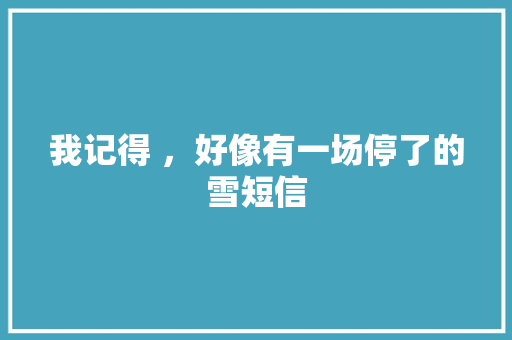 我记得 ，好像有一场停了的雪短信