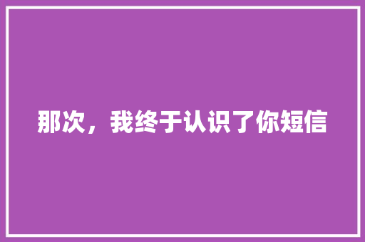那次，我终于认识了你短信