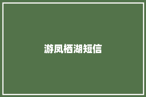 游凤栖湖短信