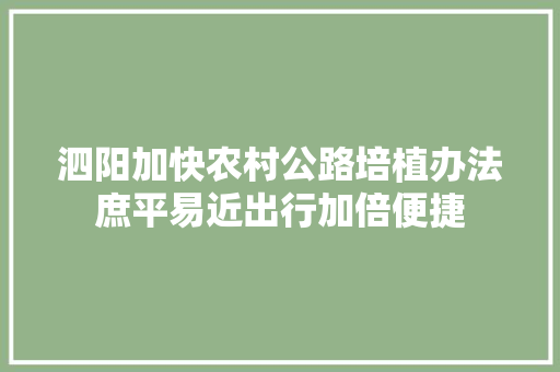 泗阳加快农村公路培植办法庶平易近出行加倍便捷