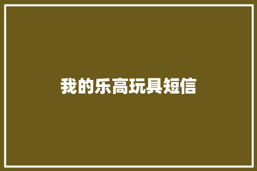 我的乐高玩具短信
