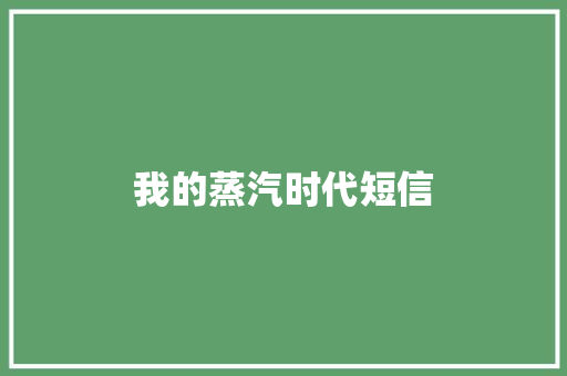 我的蒸汽时代短信