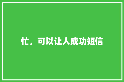 忙，可以让人成功短信