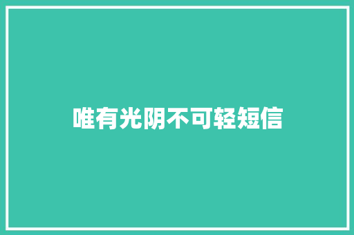 唯有光阴不可轻短信