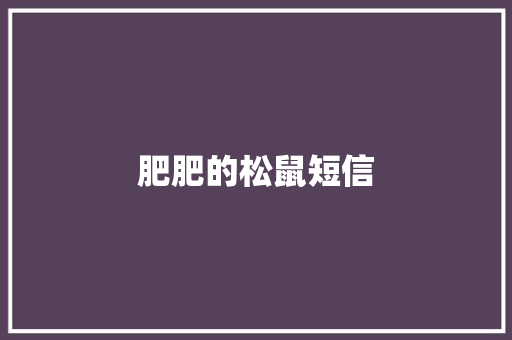 肥肥的松鼠短信