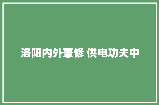 洛阳内外兼修 供电功夫中