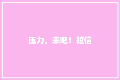 压力，来吧！短信
