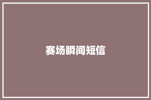 赛场瞬间短信