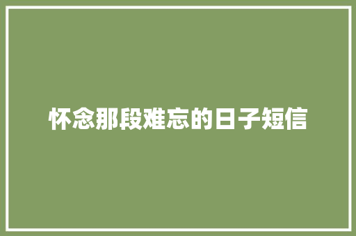 怀念那段难忘的日子短信