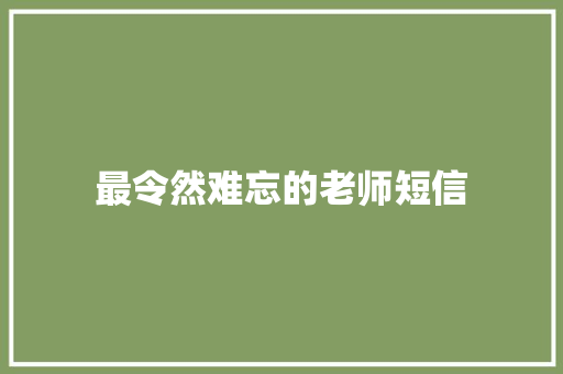 最令然难忘的老师短信