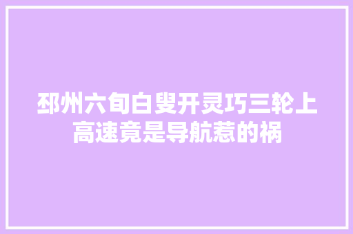邳州六旬白叟开灵巧三轮上高速竟是导航惹的祸 汽车知识