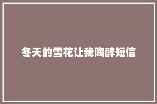 冬天的雪花让我陶醉短信