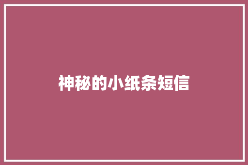 神秘的小纸条短信