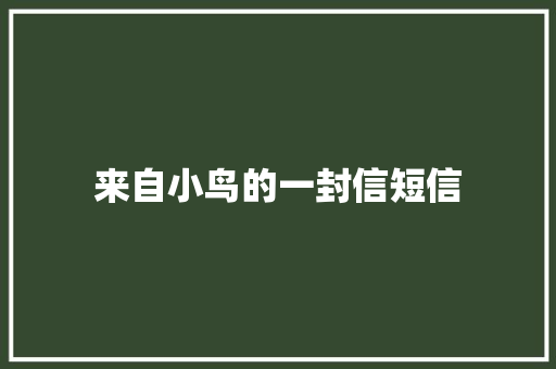 来自小鸟的一封信短信