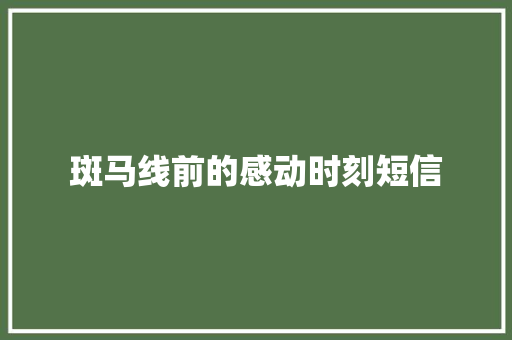 斑马线前的感动时刻短信