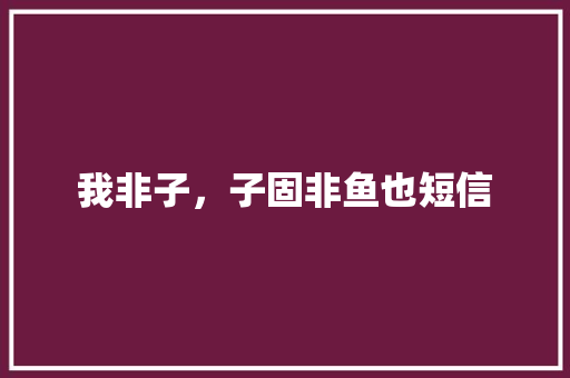 我非子，子固非鱼也短信