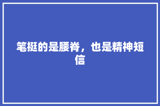 笔挺的是腰脊，也是精神短信