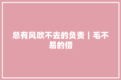 总有风吹不去的负责｜毛不易的借