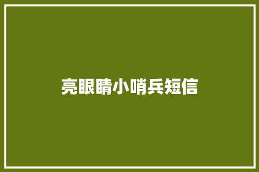 亮眼睛小哨兵短信
