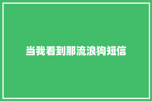 当我看到那流浪狗短信