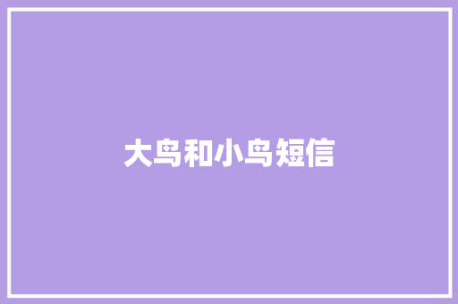 大鸟和小鸟短信