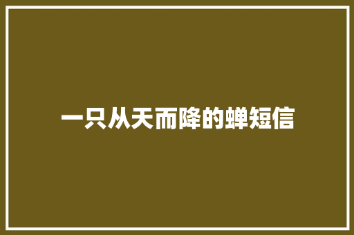 一只从天而降的蝉短信