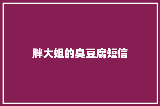 胖大姐的臭豆腐短信