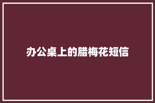 办公桌上的腊梅花短信
