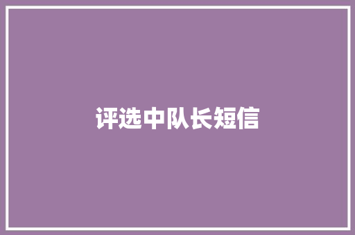 评选中队长短信