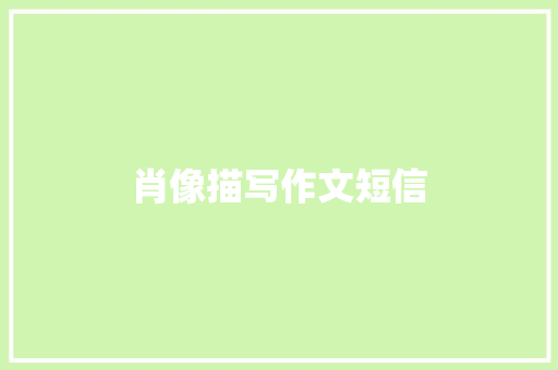 肖像描写作文短信