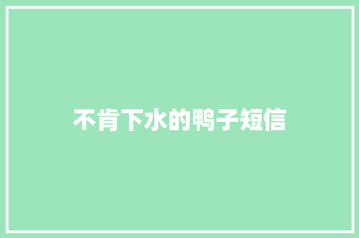 不肯下水的鸭子短信