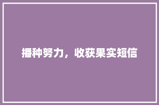 播种努力，收获果实短信