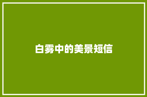 白雾中的美景短信