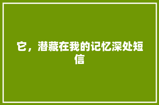 它，潜藏在我的记忆深处短信