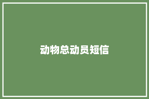 动物总动员短信