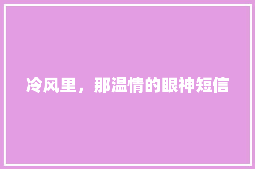 冷风里，那温情的眼神短信