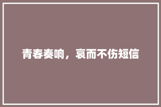 青春奏响，哀而不伤短信