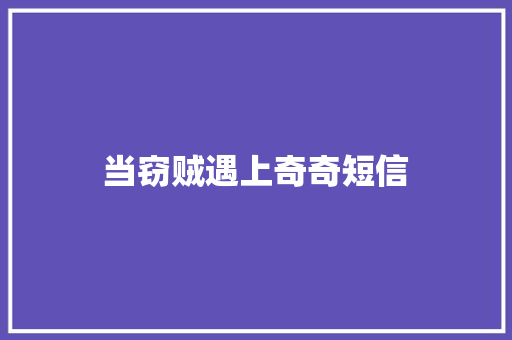 当窃贼遇上奇奇短信
