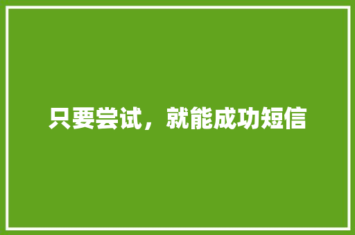 只要尝试，就能成功短信
