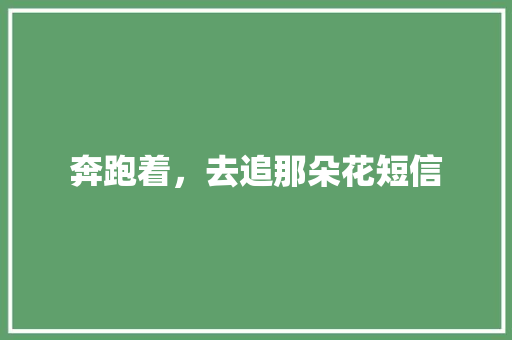 奔跑着，去追那朵花短信
